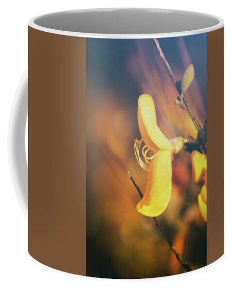 Cytisus Coffee Mug featuring the photograph Beauty Of Cytisus by Jaroslav Buna