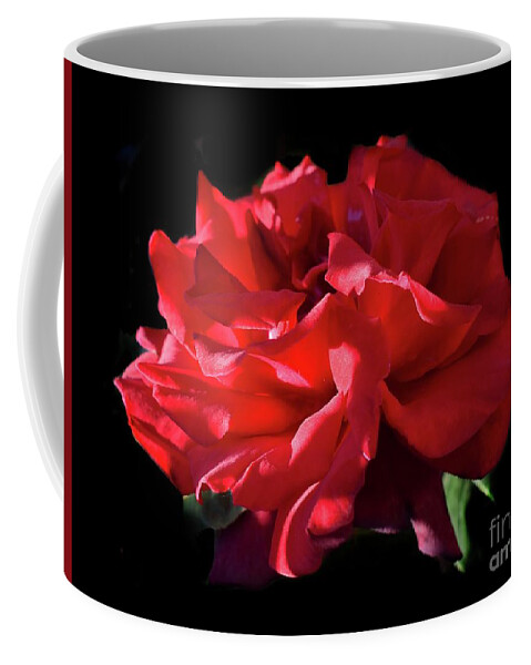 Nature Coffee Mug featuring the photograph Beauty Of Dark Red Rose Grand Chateau II by Leonida Arte