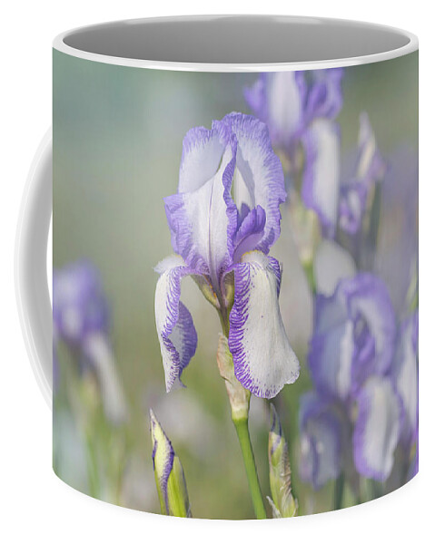 Jenny Rainbow Fine Art Photography Coffee Mug featuring the photograph Beauty Of Irises. Madame Chereau 1 by Jenny Rainbow