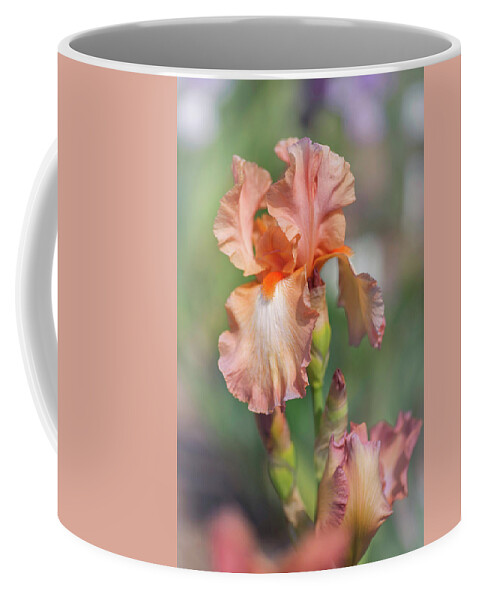 Jenny Rainbow Fine Art Photography Coffee Mug featuring the photograph Beauty Of Irises. Symphonette by Jenny Rainbow