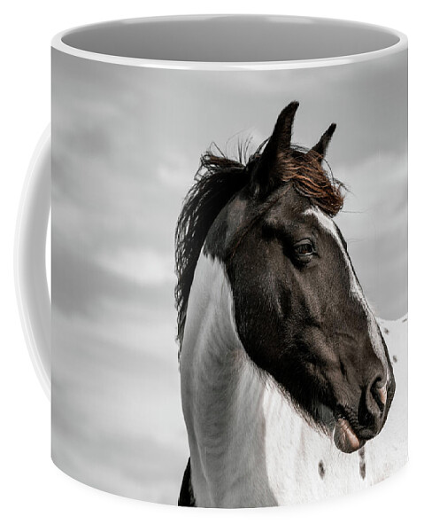 New Forest Pony Coffee Mug featuring the photograph Beck - Horse Art by Lisa Saint