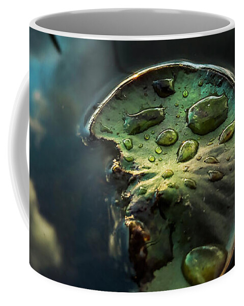 Water Lily Coffee Mug featuring the photograph Bedazzled by Jerry LoFaro