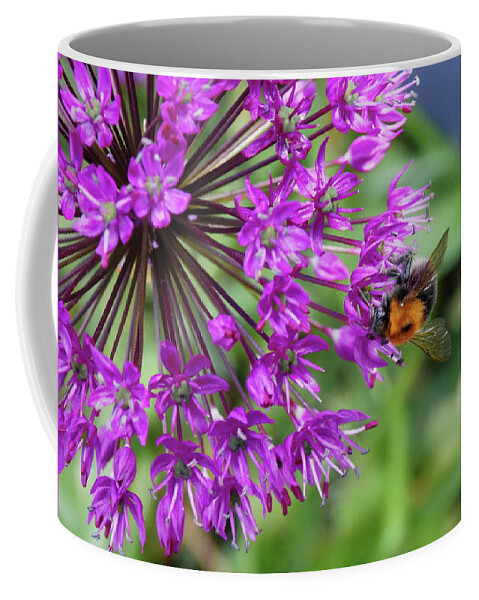 Bee Coffee Mug featuring the photograph Bee And Allium by Jeff Townsend