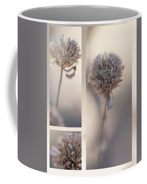 Taupe Coffee Mug featuring the photograph Bee Balm by Karen Rispin