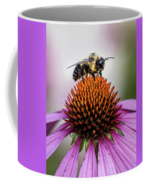 Bee Coffee Mug featuring the photograph Bee claiming the flower by Rick Nelson