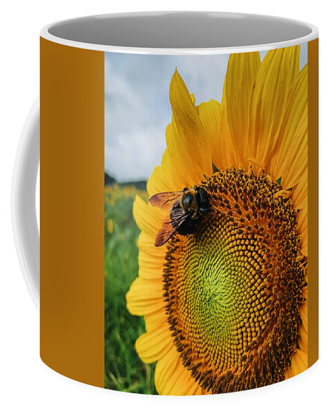 Bee Coffee Mug featuring the photograph Bee on Sunflower by Rick Nelson