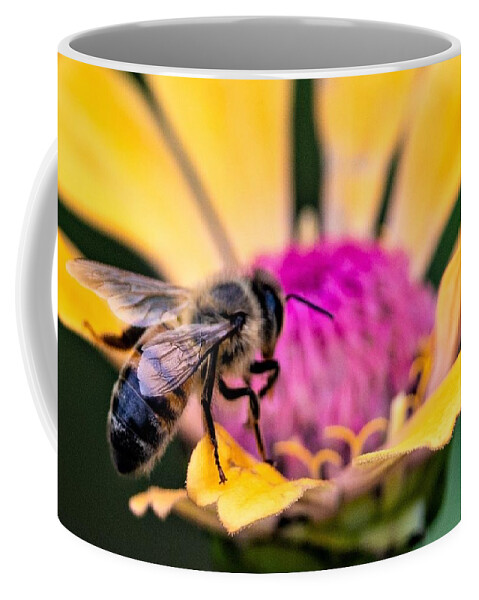 Bee Coffee Mug featuring the photograph Bee the Change by Roy Wenzl