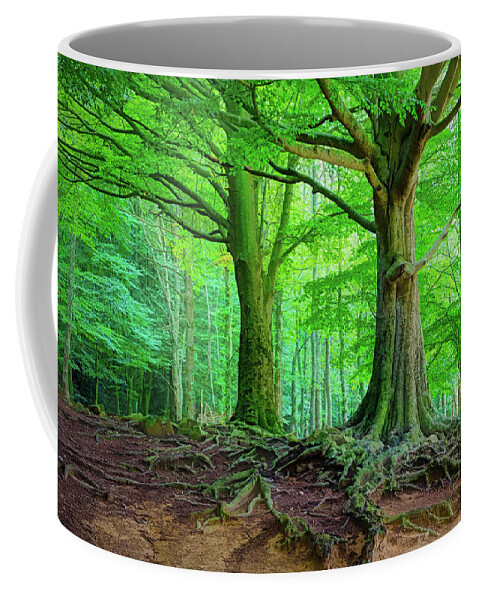 Canvas Coffee Mug featuring the photograph Beech groves of the Montseny natural park - Picturesque Edition by Jordi Carrio Jamila