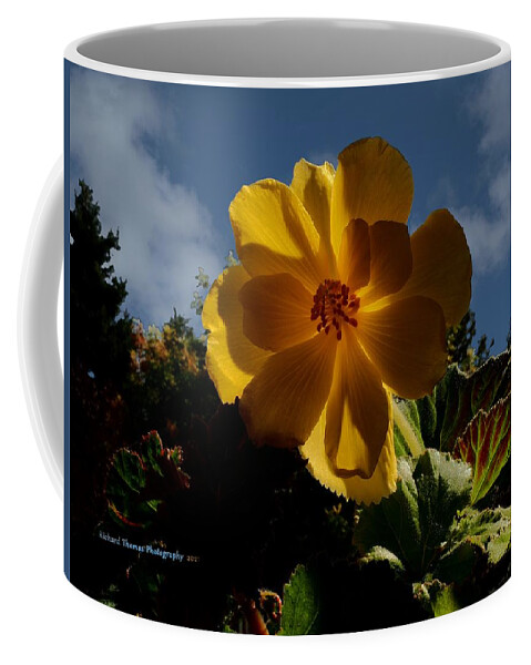 Digital Painting Coffee Mug featuring the photograph Begonia Cumulus Sky by Richard Thomas