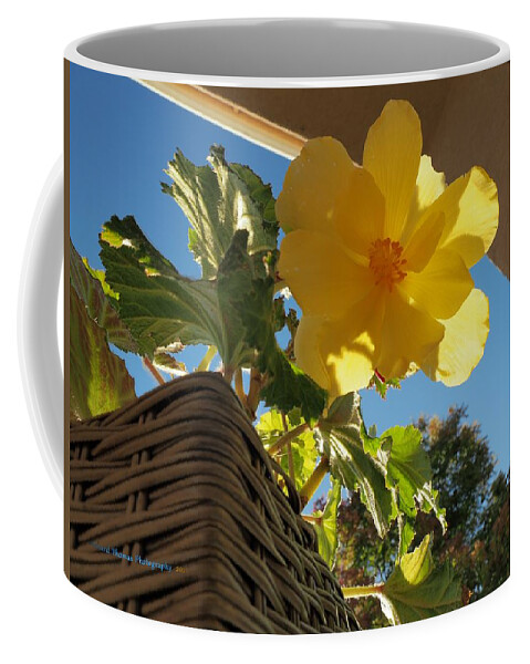 Botanical Coffee Mug featuring the photograph Begonia Gold by Richard Thomas