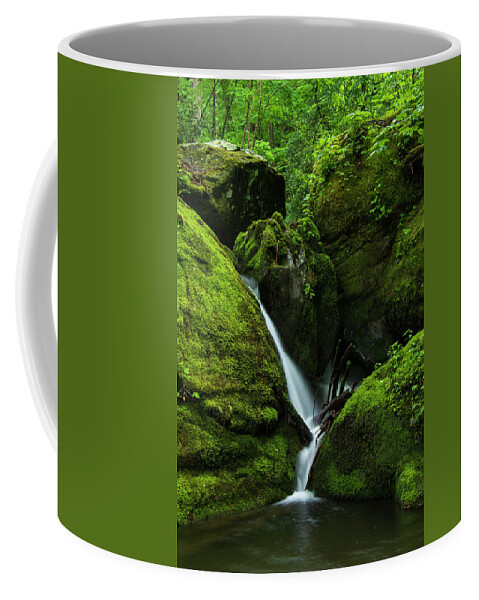 Great Smoky Mountains National Park Coffee Mug featuring the photograph Below 1000 Drips 1 by Melissa Southern