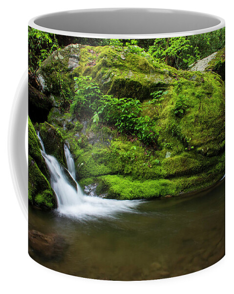 Great Smoky Mountains National Park Coffee Mug featuring the photograph Below 1000 Drips 2 by Melissa Southern