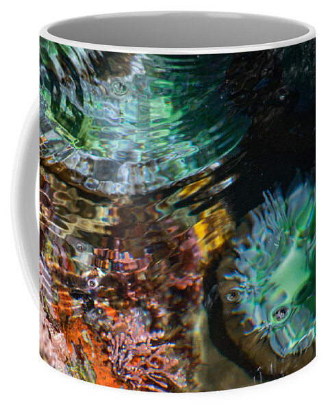 Underwater Coffee Mug featuring the photograph Below the surface by Bonny Puckett