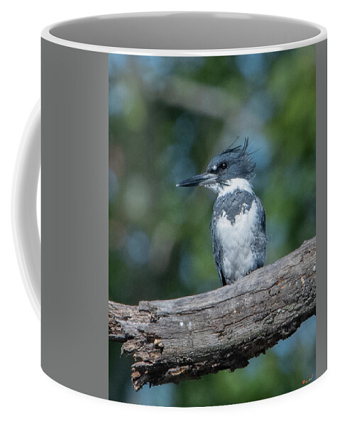 Nature Coffee Mug featuring the photograph Belted Kingfisher DSB0380 by Gerry Gantt