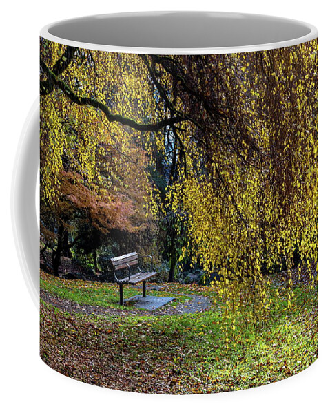 Alex Lyubar Coffee Mug featuring the photograph Bench and yellow tree in the autumn park by Alex Lyubar