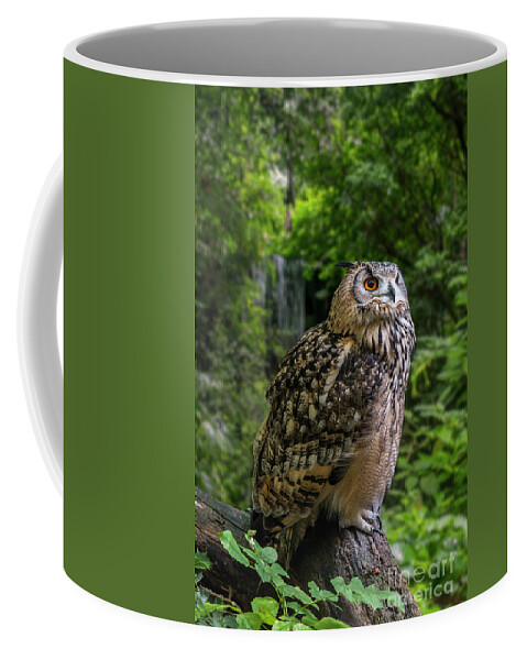 Indian Eagle-owl Coffee Mug featuring the photograph Bengal Eagle Owl by Arterra Picture Library
