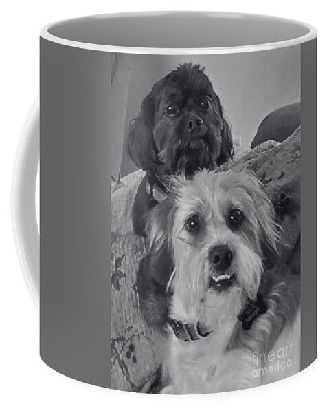 Photo Coffee Mug featuring the photograph Best Buddies by Cindy's Creative Corner