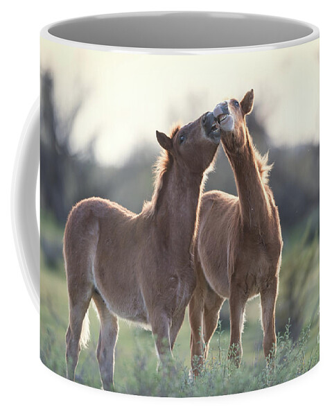 Foals Coffee Mug featuring the photograph Best Buds by Shannon Hastings