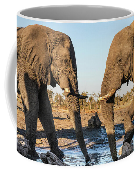 African Elephant Coffee Mug featuring the photograph Between Friends by Elvira Peretsman