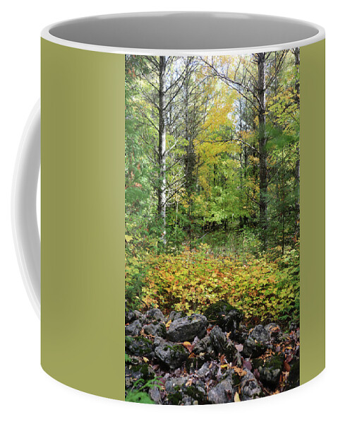 Farm Path Coffee Mug featuring the photograph Beyond the Stone Fence by David T Wilkinson