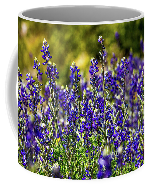 Big Bend Bluebonnet Coffee Mug featuring the photograph Big Bend Bluebonnets 001094 by Renny Spencer