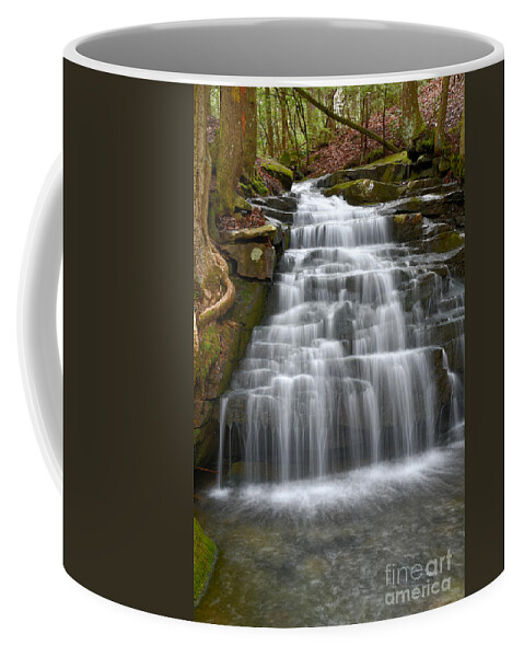 Big Branch Falls Coffee Mug featuring the photograph Big Branch Falls 4 by Phil Perkins