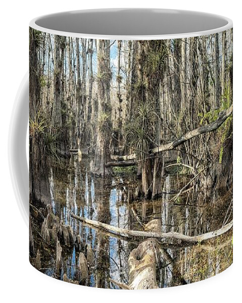 Big Cypress National Preserve Coffee Mug featuring the photograph Big Cypress Wilderness by Rudy Wilms