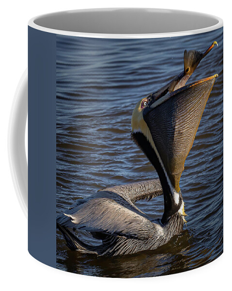 Pelican Coffee Mug featuring the photograph Big Gulp by JASawyer Imaging