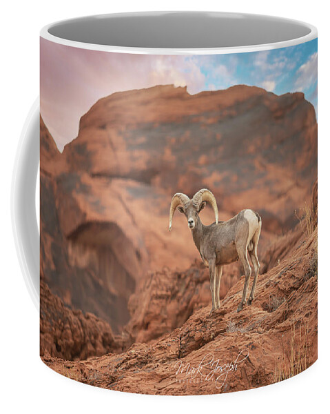 Big Horn Sheep Coffee Mug featuring the photograph Big Horn by Mark Joseph