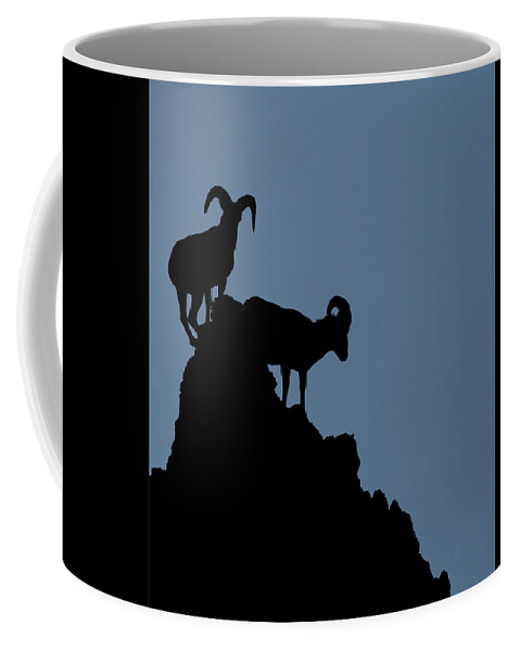 Big Horn Sheep Coffee Mug featuring the photograph Big Horn Silhouette by Bob Falcone