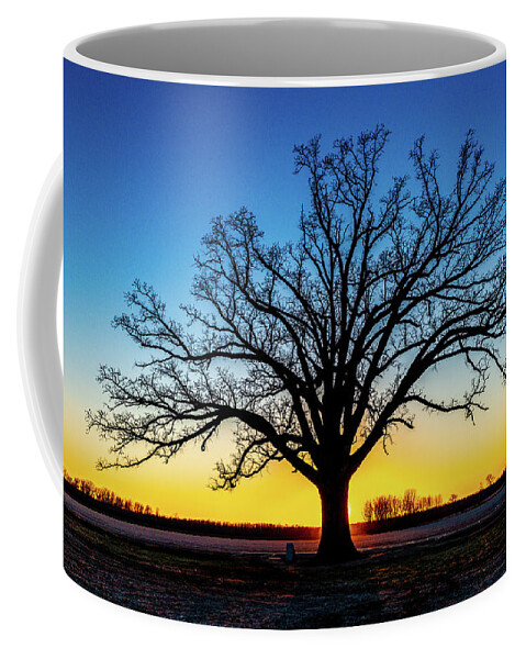Big Oak Tree Coffee Mug featuring the photograph Big Oak Tree at Sunset by Harold Rau