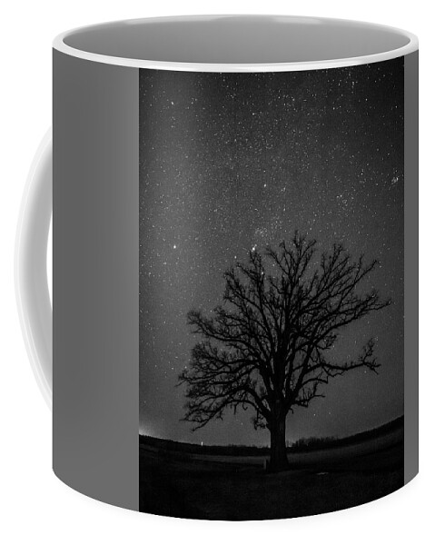 Big Oak Tree Coffee Mug featuring the photograph Big Oak Tree Under the Stars by Harold Rau
