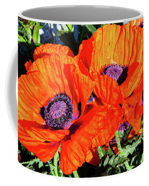 Flowers Coffee Mug featuring the photograph Big Reds by Claude Dalley