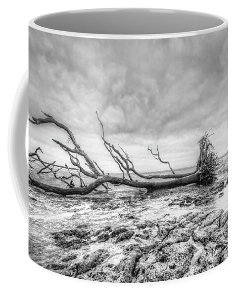 Driftwood Coffee Mug featuring the photograph Big Talbot Island State Park in Black and White by Carolyn Hutchins