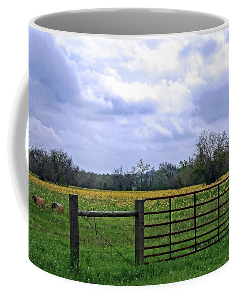 Yellow Wildflowers Coffee Mug featuring the photograph Big Texas Sky by Connie Fox