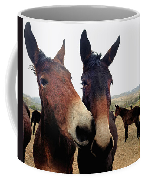 Kiss Coffee Mug featuring the photograph Big Wet One by Don Schimmel