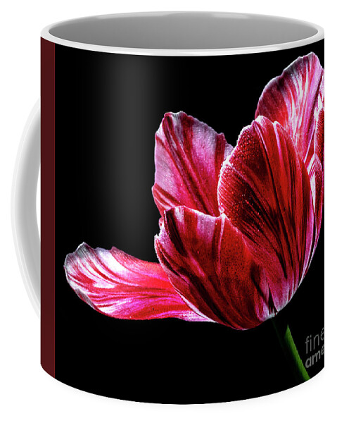 Red Coffee Mug featuring the photograph Billowing by Doug Norkum