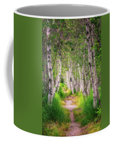 Acadia Coffee Mug featuring the photograph Birch Way by Jeff Sinon