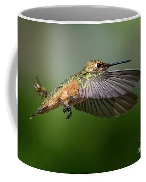 Hummingbird Coffee Mug featuring the photograph Bird and the Bees by Lisa Manifold