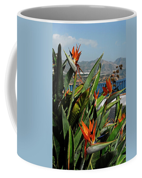 Bird Of Paradise Coffee Mug featuring the photograph Bird of paradise flowers by Severija Kirilovaite
