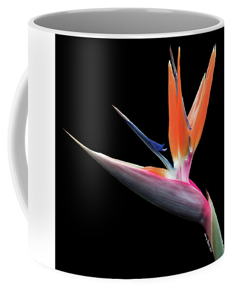 Photography Coffee Mug featuring the photograph Bird of Paradise by Larry Nader