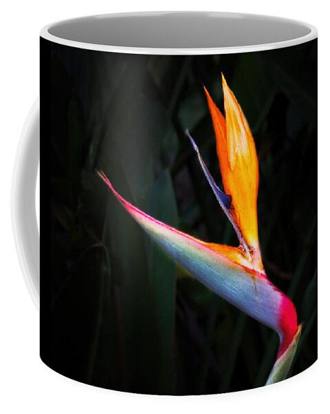 Red Coffee Mug featuring the photograph Bird of Paradise by Rudy Umans