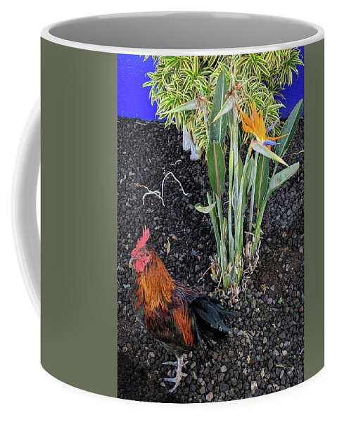 Bird Of Paradise Coffee Mug featuring the photograph Bird of Paradise by Steed Edwards