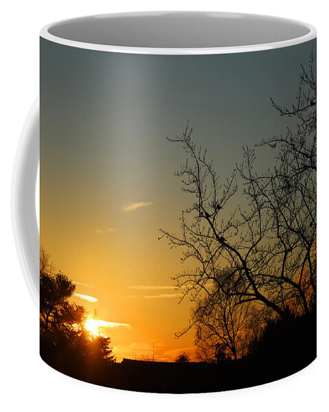 Golden Coffee Mug featuring the photograph Birds at Sunrise January 24 2021 by Miriam A Kilmer