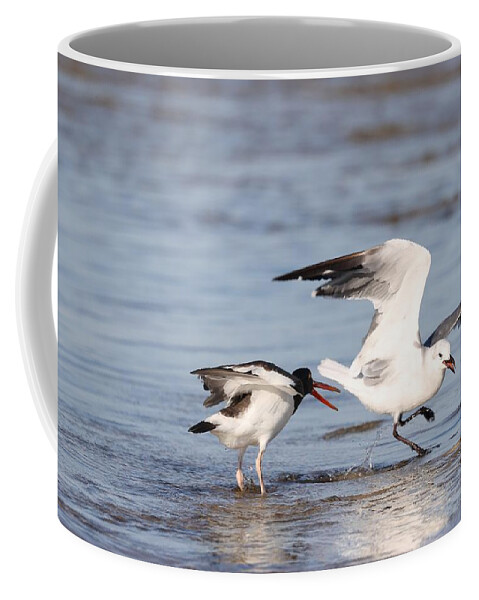 Seagulls Coffee Mug featuring the photograph Birds' Fight by Mingming Jiang