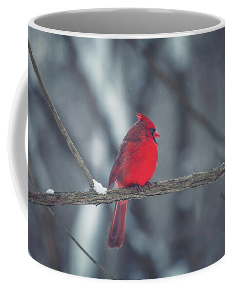 Cardinal Coffee Mug featuring the photograph Birds Of A Feather by Carrie Ann Grippo-Pike