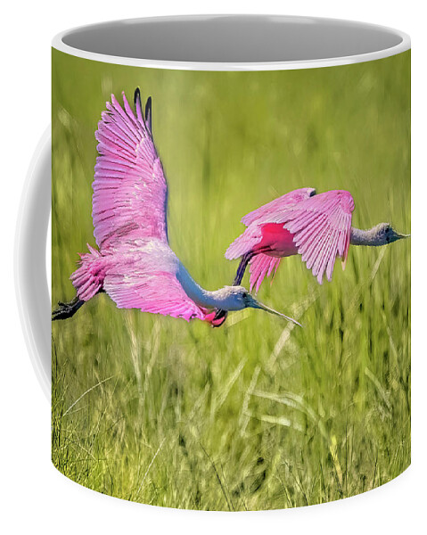 Birds Coffee Mug featuring the photograph Birds of a Feather by Linda Shannon Morgan