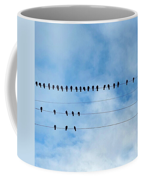  Coffee Mug featuring the photograph Birds On Wire by Julie Gebhardt