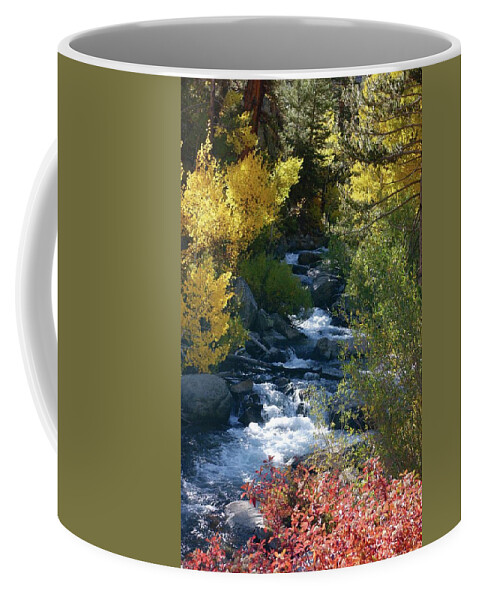 Bishop Creek Coffee Mug featuring the photograph Fall Color and Sun Rays on Bishop Creek by Bonnie Colgan