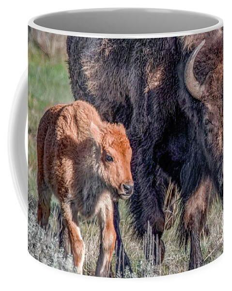 Yellowstone National Park Coffee Mug featuring the photograph Bison Babies by Marcy Wielfaert